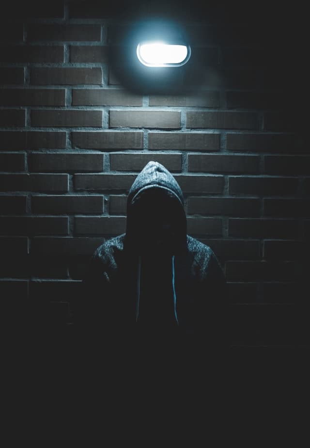 luis-villasmil-S2qA7JhjI6Y-unsplash (1)