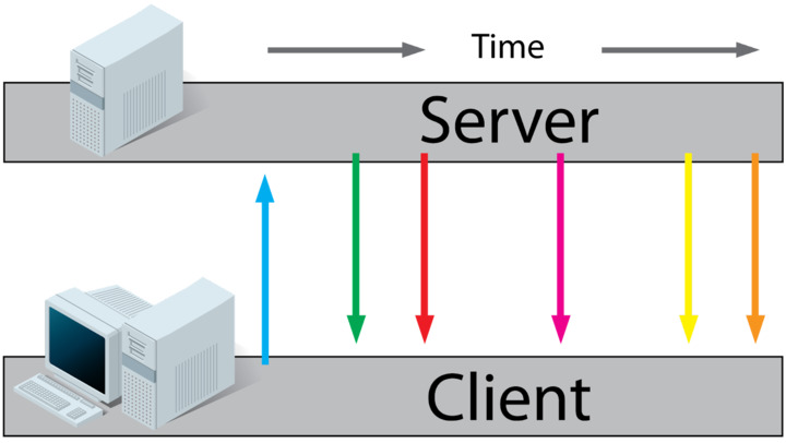 WebSocket Network