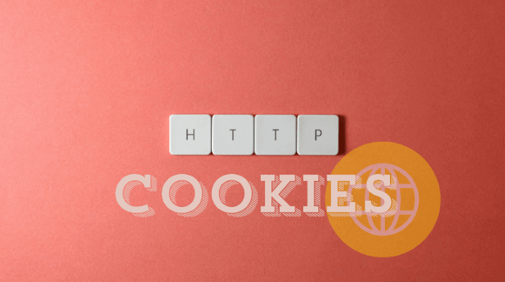 What Are HTTP Cookies?