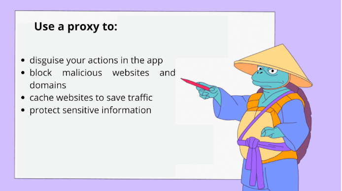 Why use a proxy?